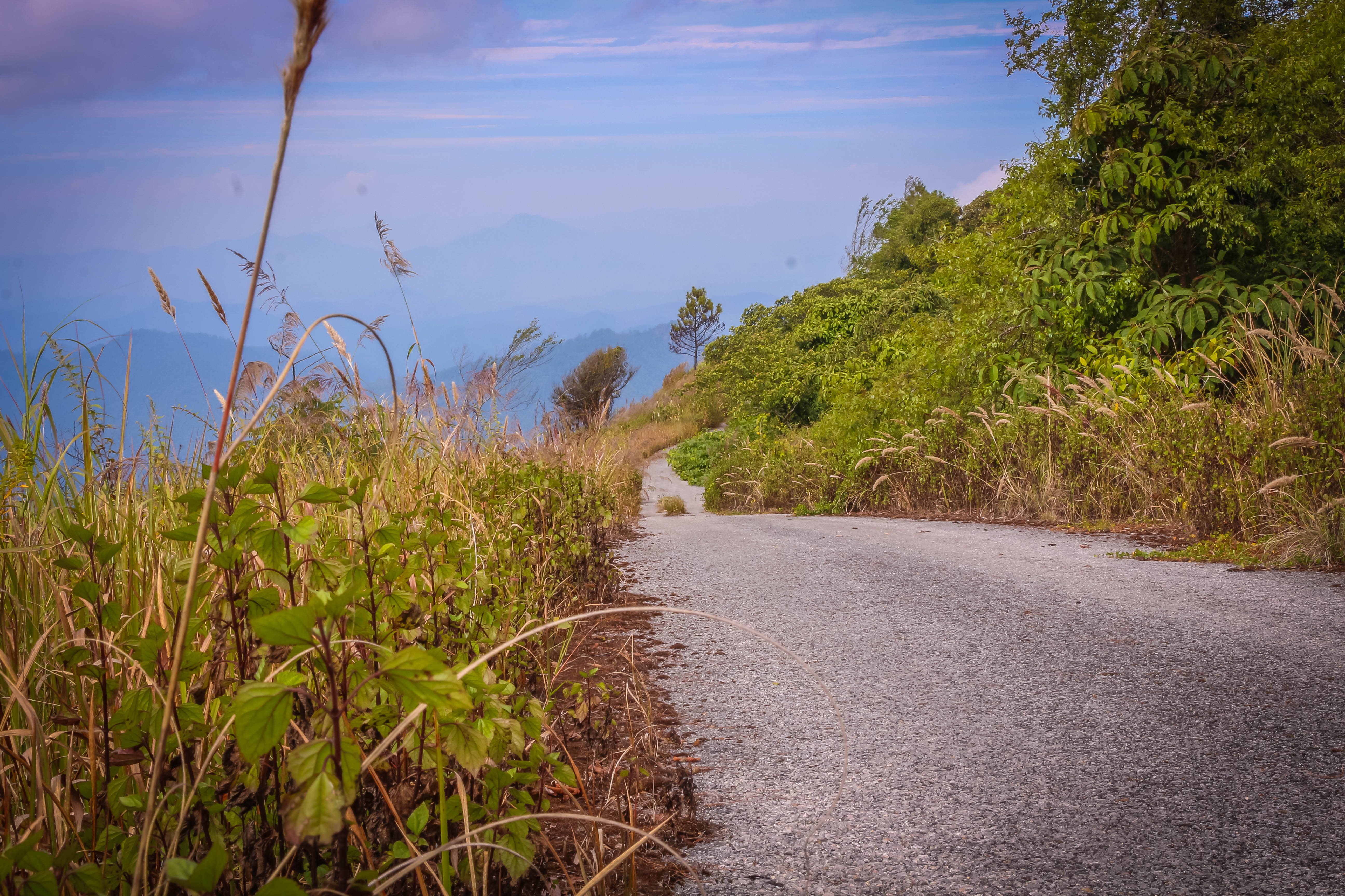 ดอยสันจุ๊ แหล่งชมนกพันธุ์หายาก