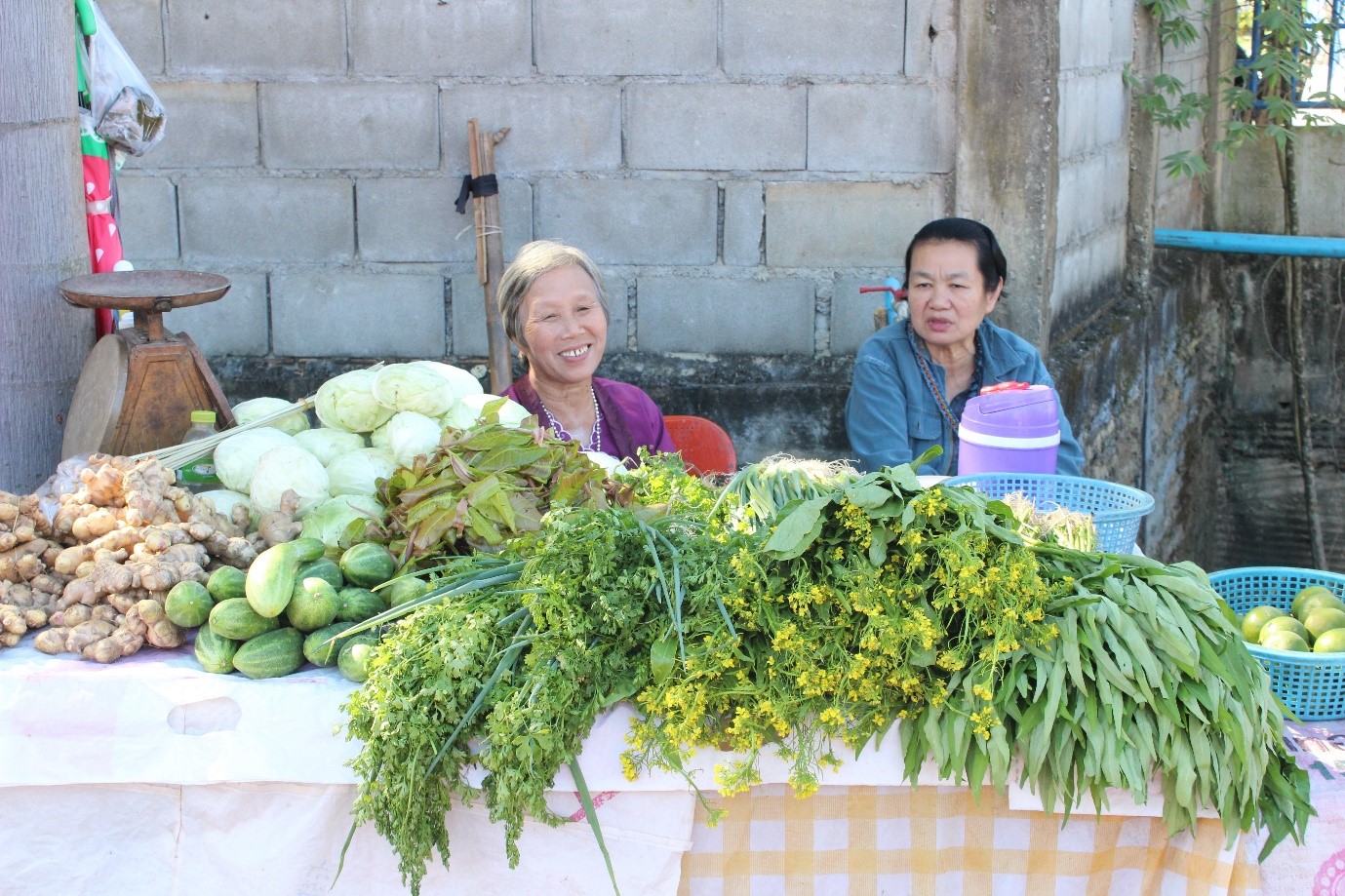 ตลาดประชารัฐ เพื่อชุมชนบ้านม่อนปิ่น หมู่ 3