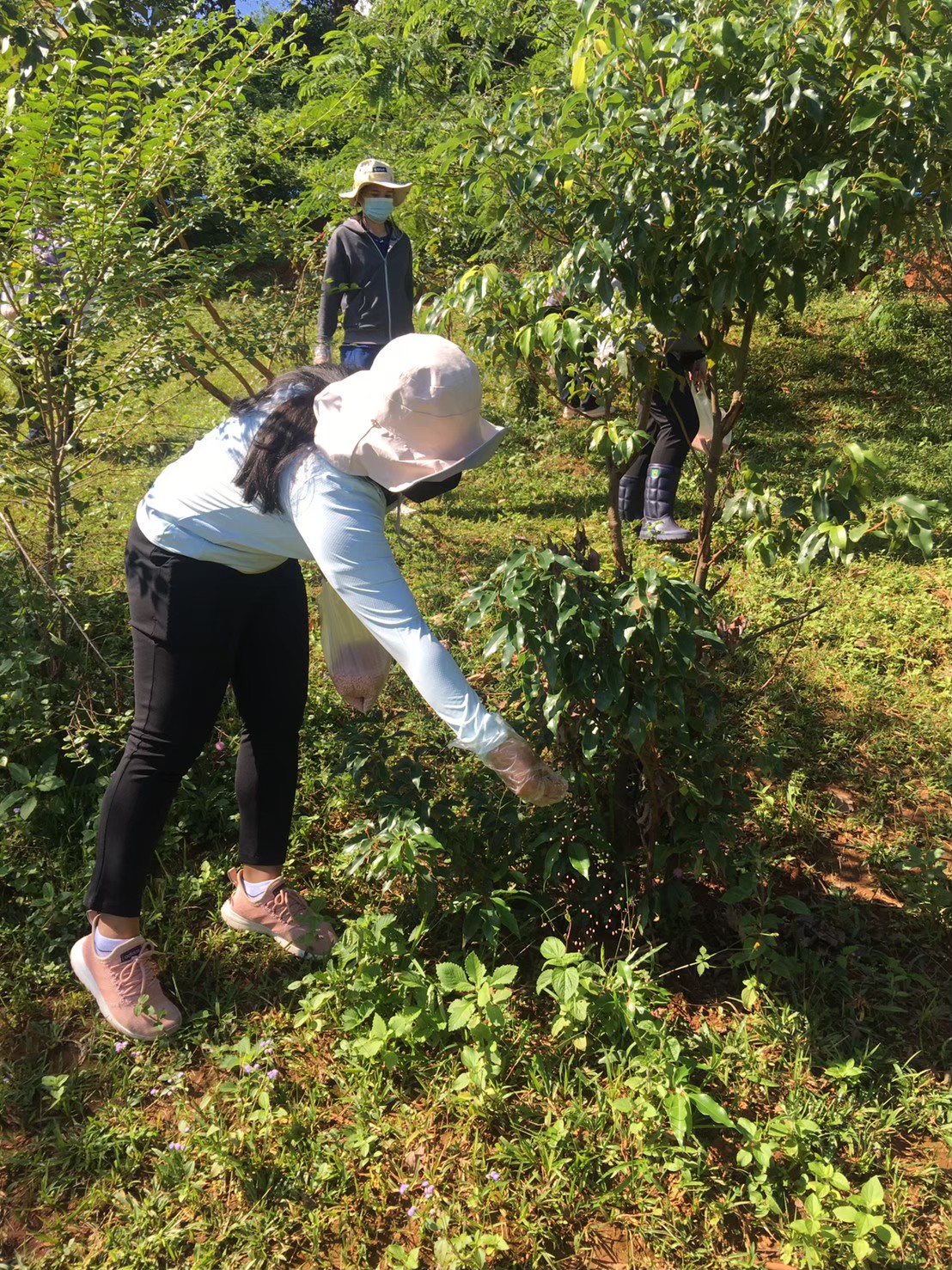 กิจกรรมวันรักต้นไม้ประจำปีของชาติ พ.ศ.2565