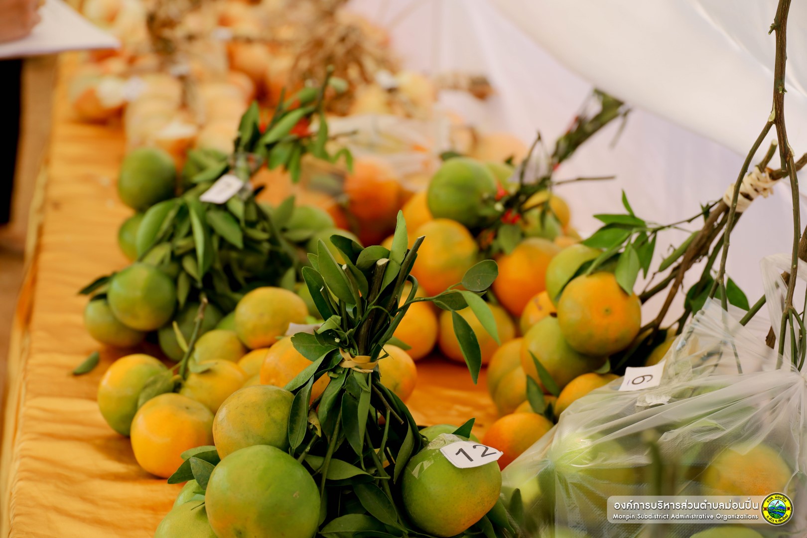  โครงการวันเกษตรตำบลม่อนปิ่น ประจำปี 2568