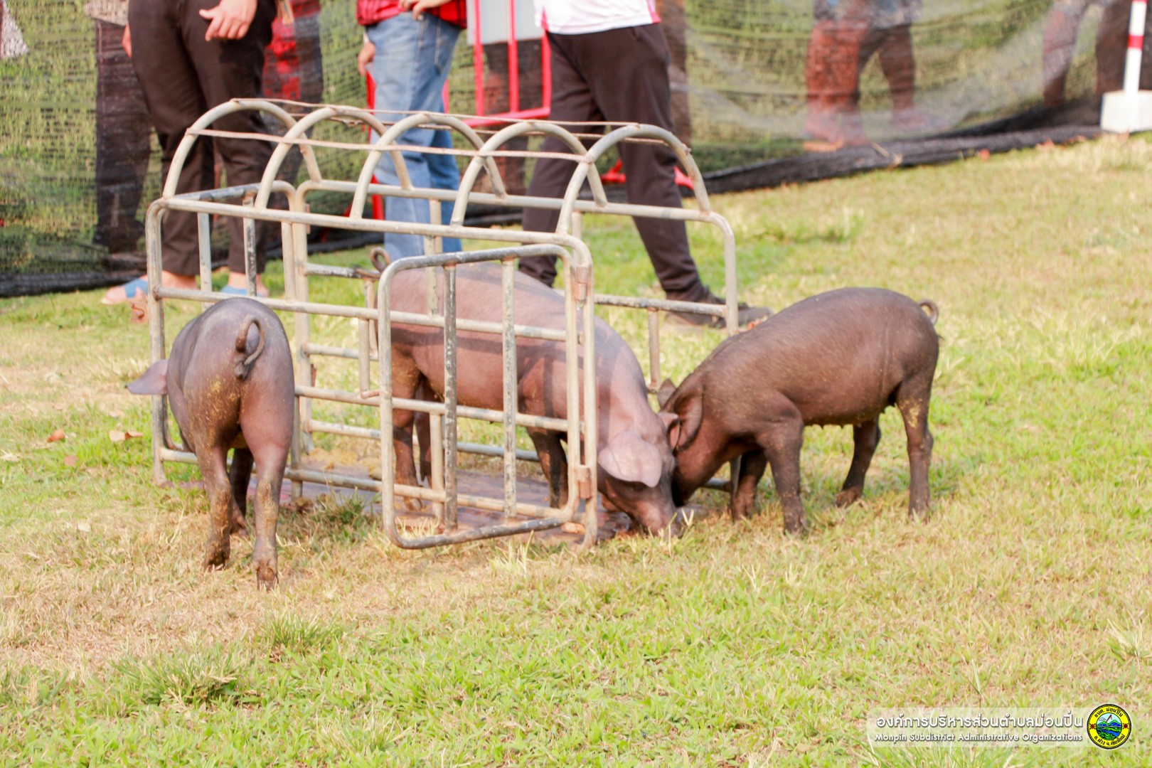  โครงการวันเกษตรตำบลม่อนปิ่น ประจำปี 2568