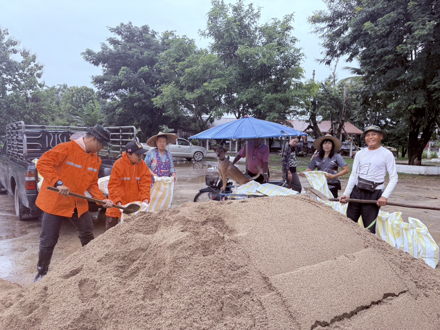  การช่วยเหลือและบรรเทาความเดือดร้อน จาก พายุวิภา