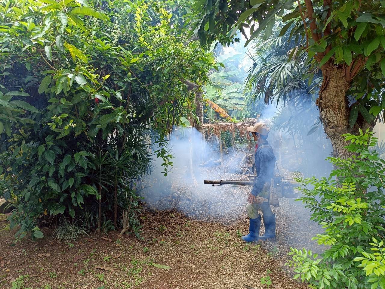 Slide 8