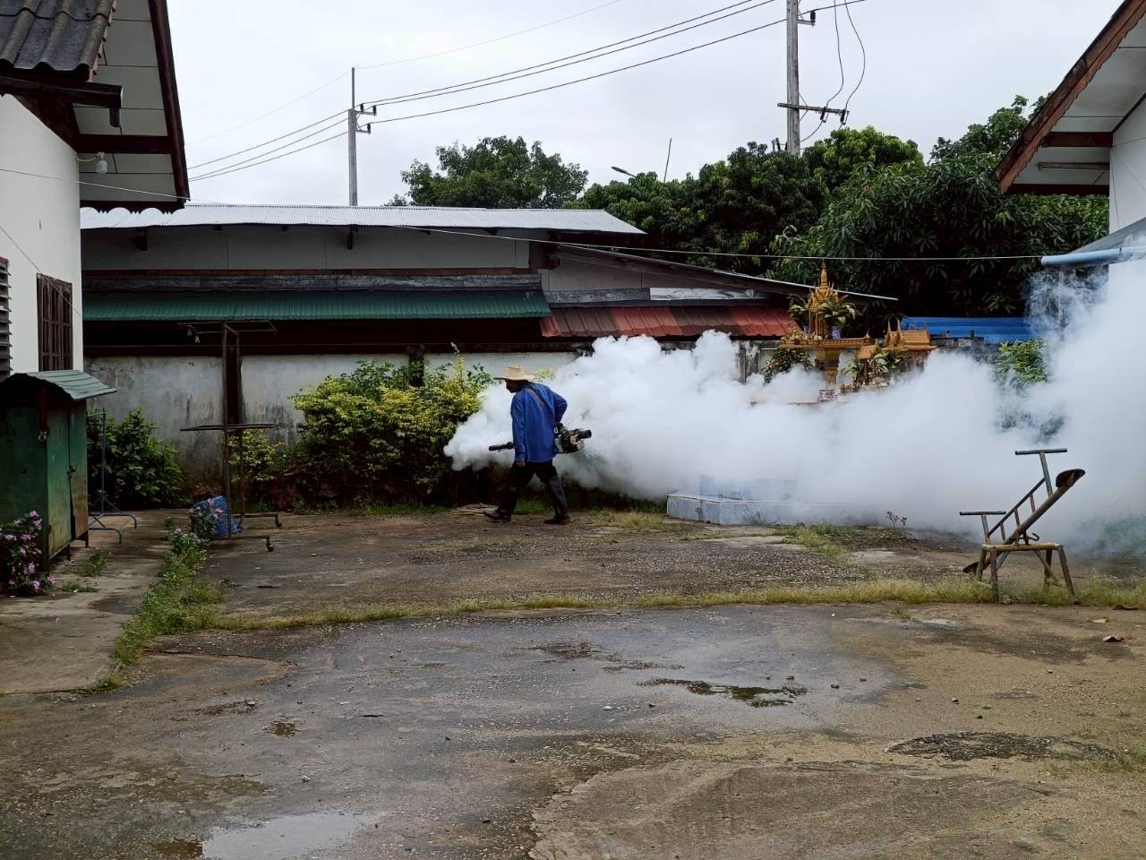 Slide 8