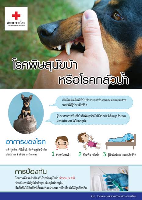 ภาพประกอบ โรคพิษสุนัขบ้า