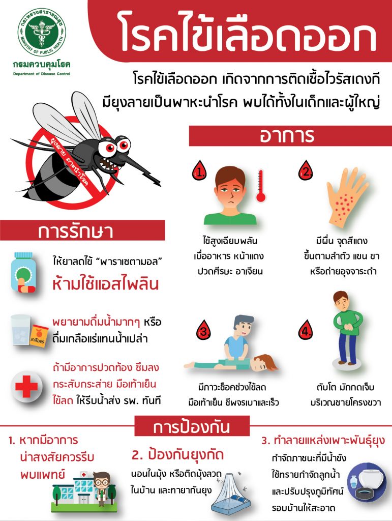 ภาพประกอบ โรคไข้เลือดออก