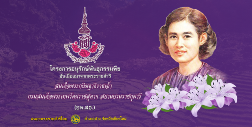 ภาพประกอบ โครงการอนุรักษ์พันธุกรรมพืชอันเนื่องมาจากพระราชดําริ